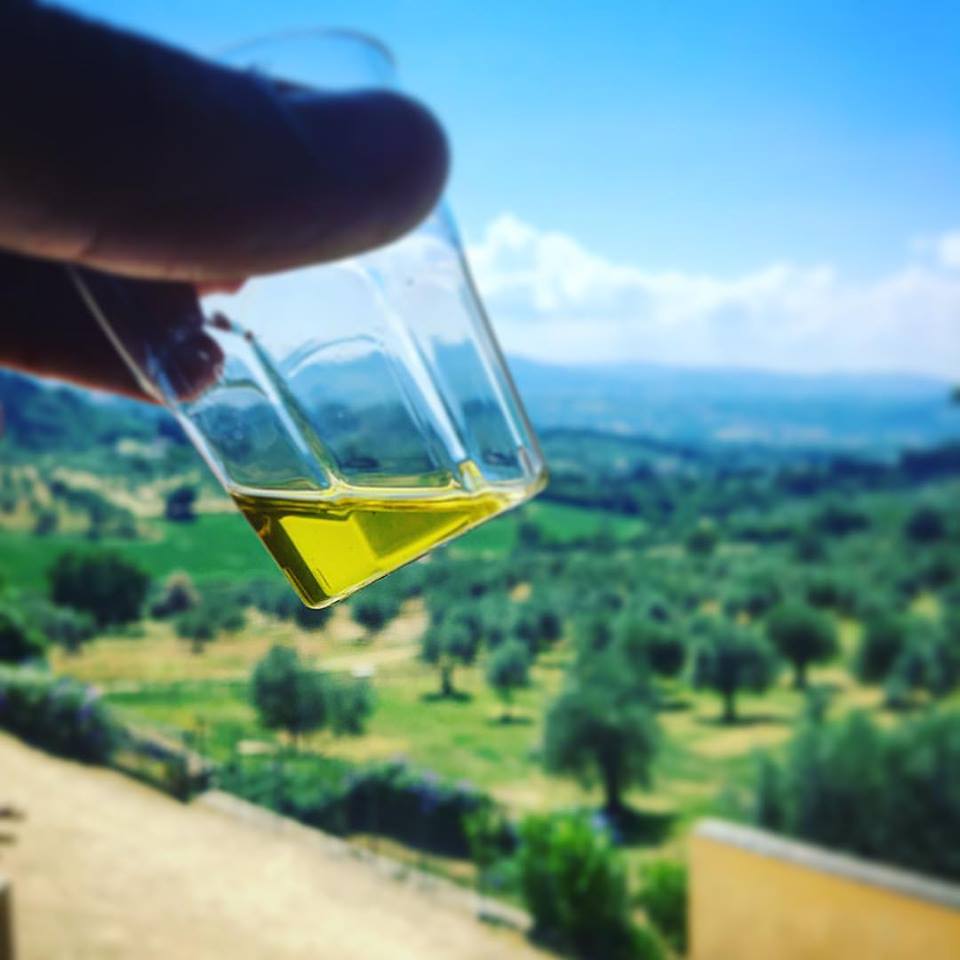 maiano-olio